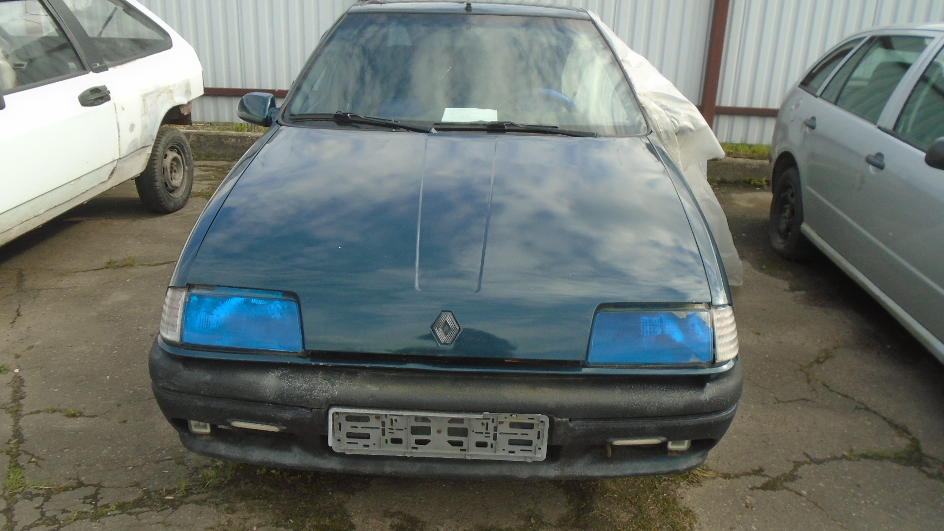 Renault, 19, 1991