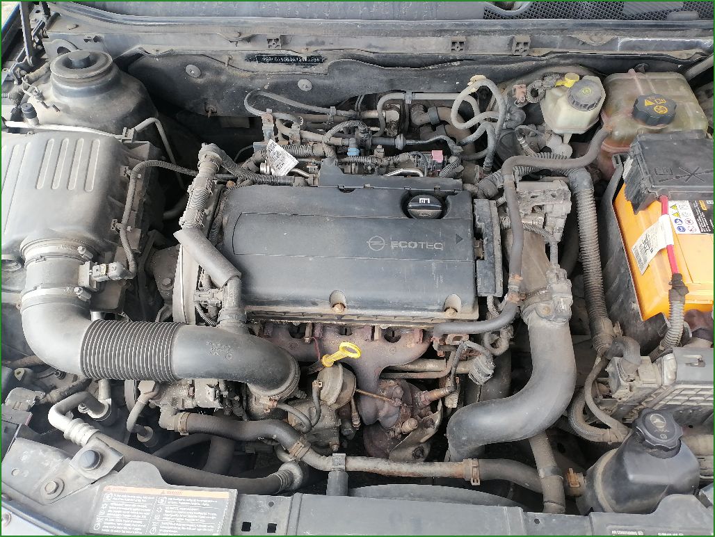 Opel, Insignia, 2010