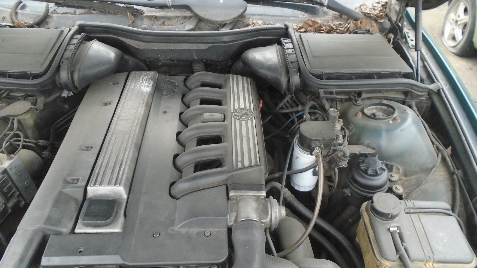 Bmw, 525, 1999
