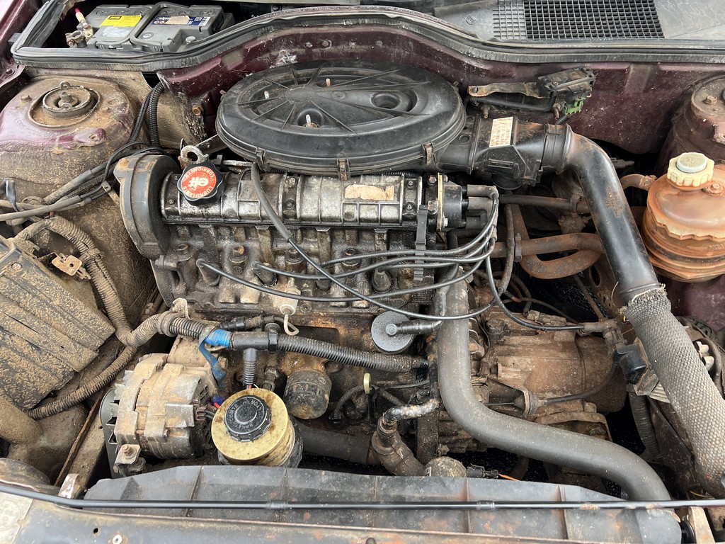 Renault, 19, 1994