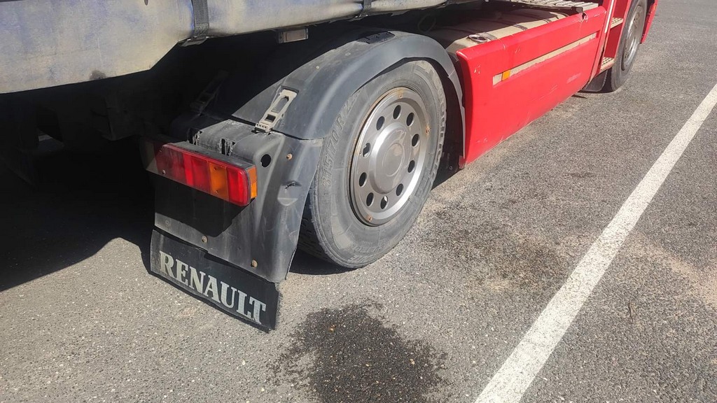 Renault, Magnum