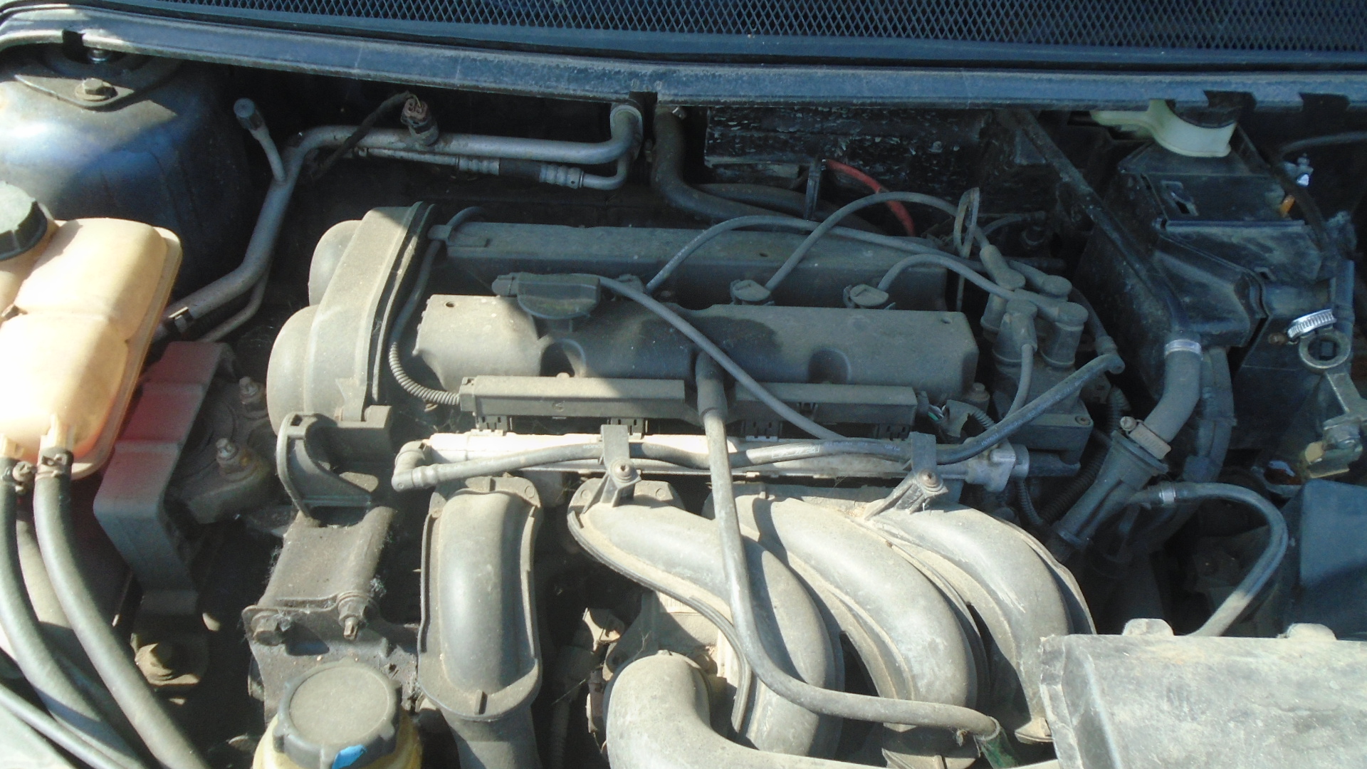 Ford, Focus, 2005