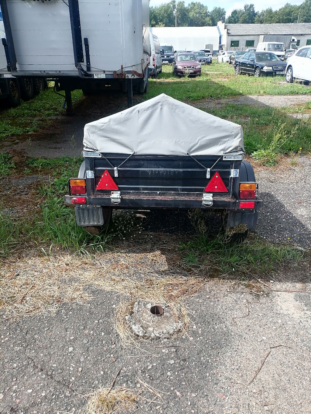 Samodelnyi, Samodelnyi