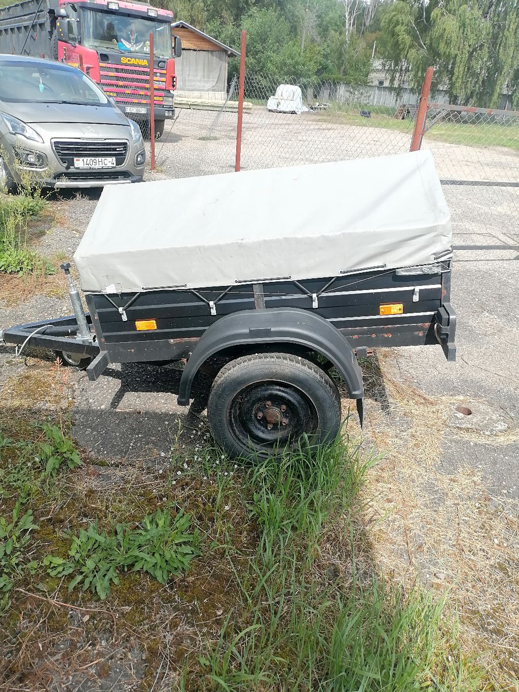 Samodelnyi, Samodelnyi