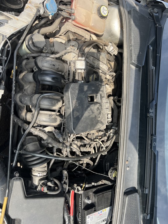 Ford, Focus, 2014