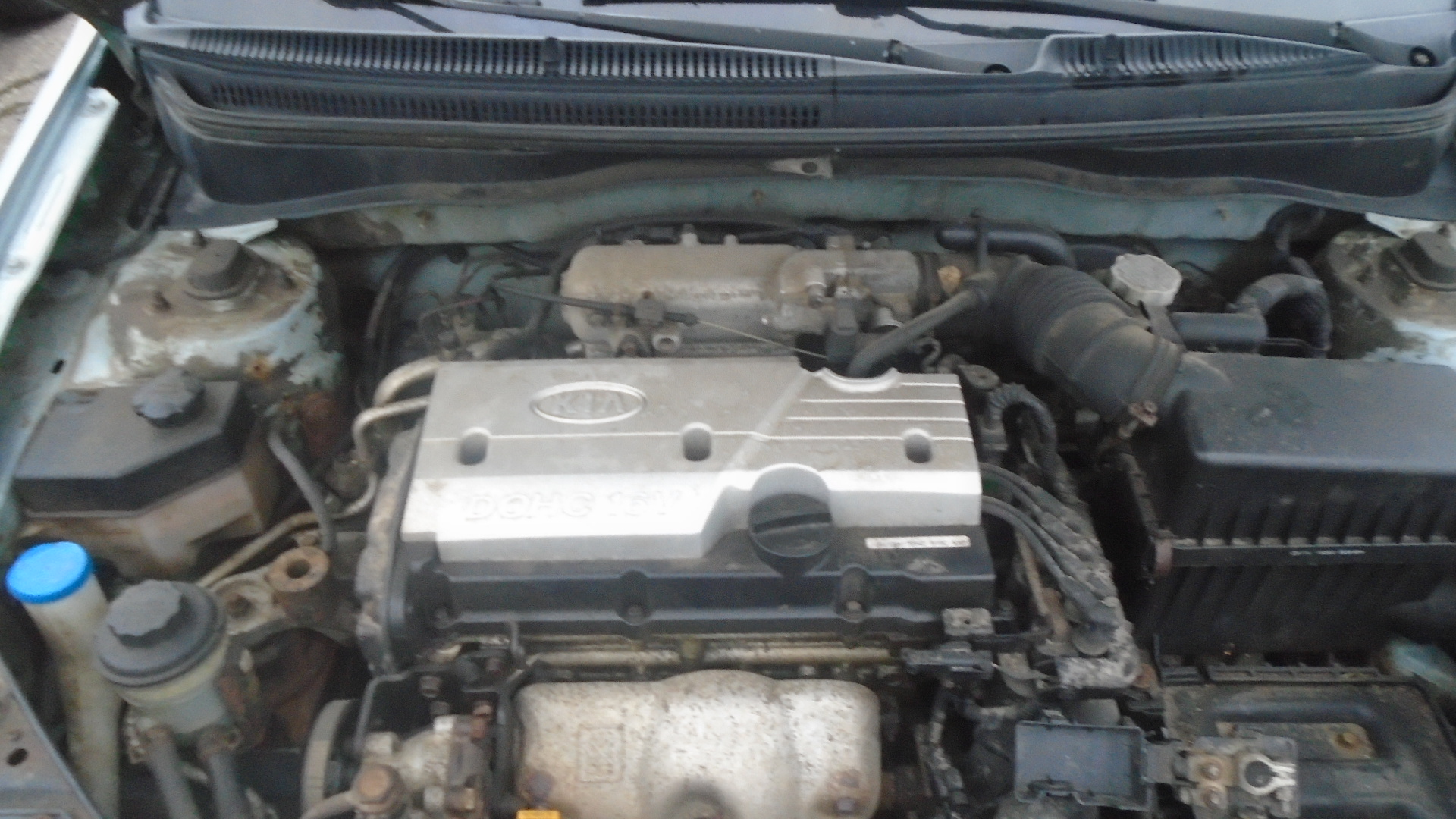 Kia, Rio, 2008