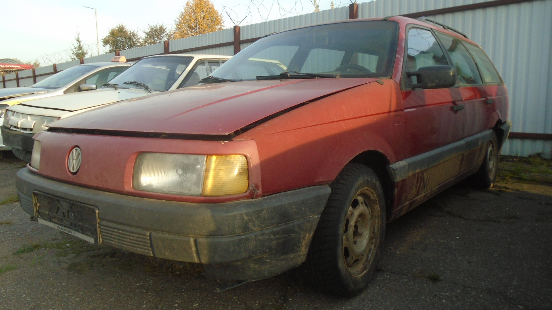 Volkswagen, Passat, 1991