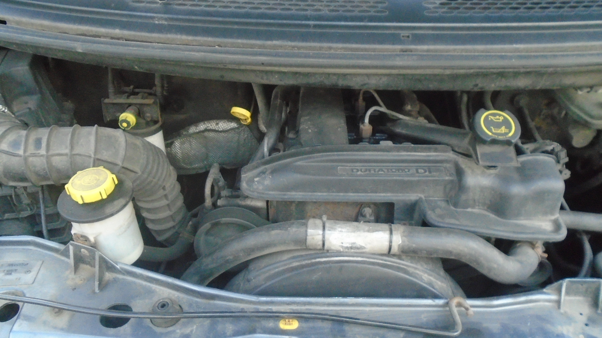 Ford, Transit, 2005