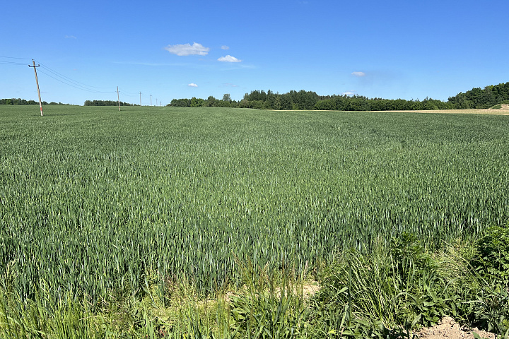1/2 доли в праве собственности на земельный участок, расположенный по адресу: Минская область, Минский район, Сеницкий с/с, д. Сеница