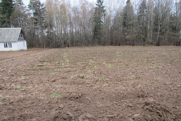 Земельный участок в СТ "Березка", 11, площадью 11,34 соток