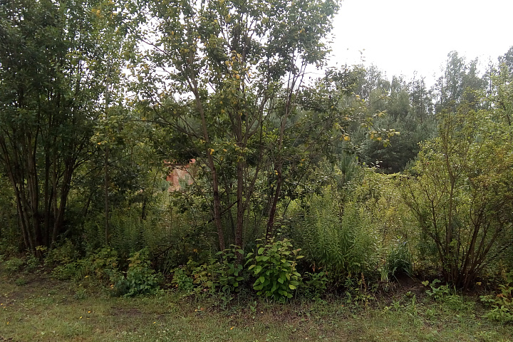 Земельный участок в СТ "Верейцы" площадью 9,97 соток