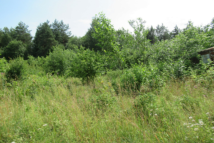 Земельный участок площадью 0,0676 га, расположенный по адресу: Минская область, Молодечненский район, Красненский с/с, СТ "Монолит-92", У-109