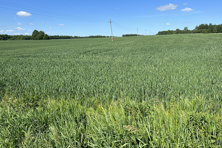 1/2 доли в праве собственности на земельный участок, расположенный по адресу: Минская область, Минский район, Сеницкий с/с, д. Сеница