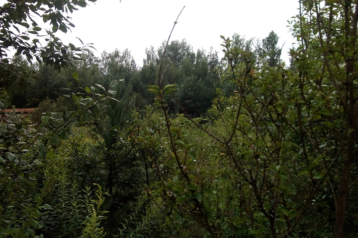 Земельный участок в СТ "Верейцы" площадью 9,97 соток