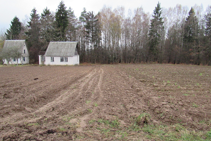 Земельный участок в СТ "Березка", 11, площадью 11,34 соток