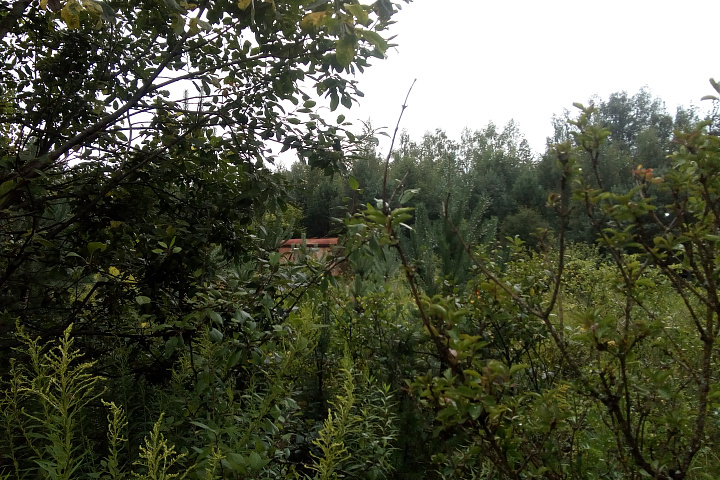 Земельный участок в СТ "Верейцы" площадью 9,97 соток