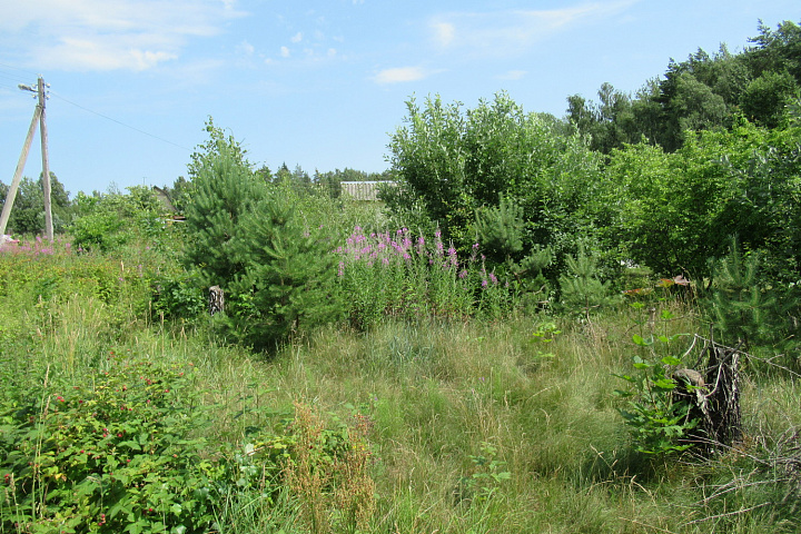 Земельный участок площадью 0,0676 га, расположенный по адресу: Минская область, Молодечненский район, Красненский с/с, СТ "Монолит-92", У-109
